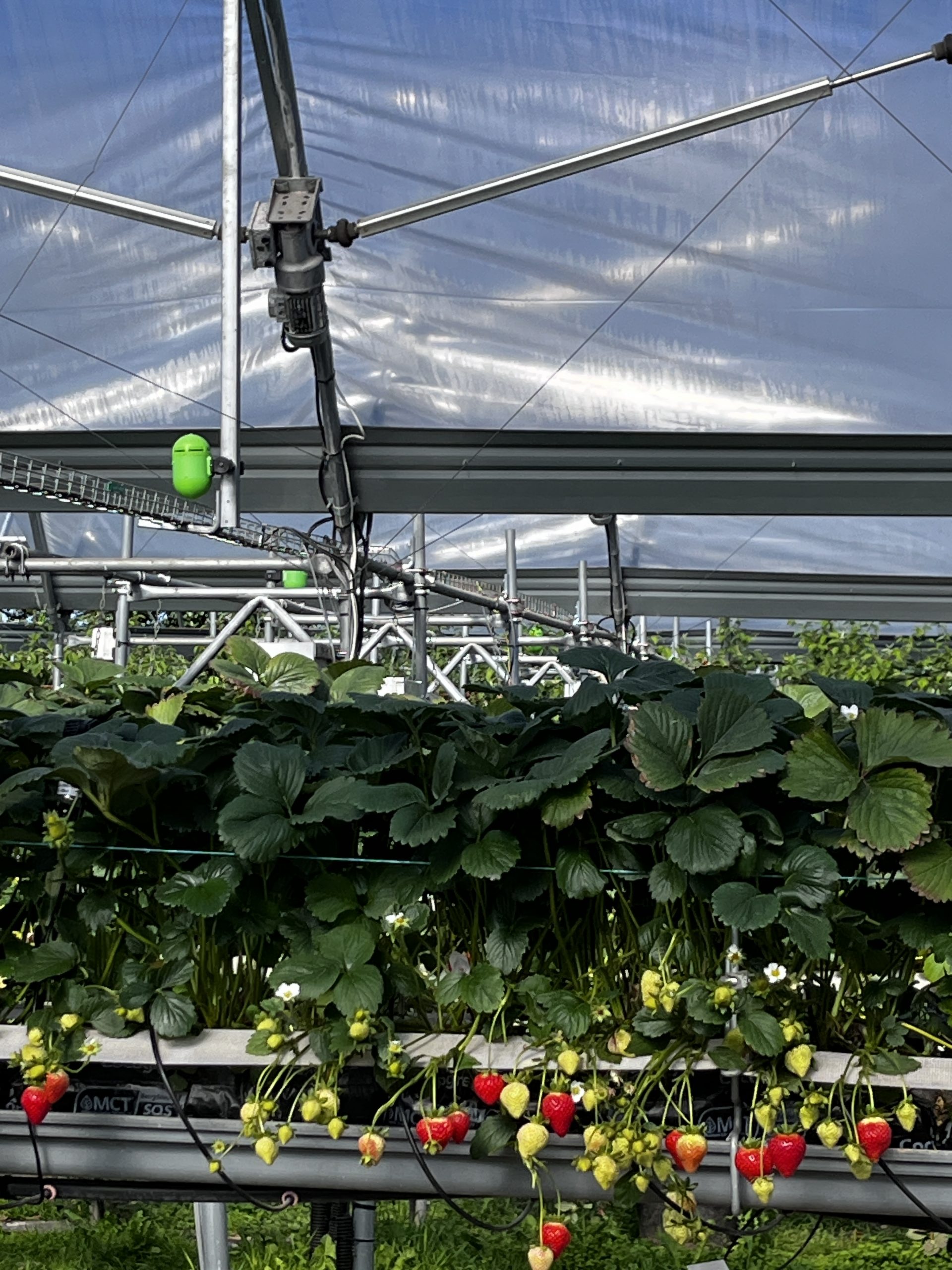 AgTech Update